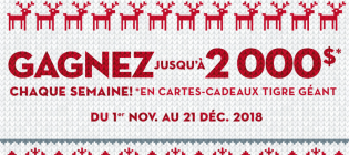 concours-tigre-geant
