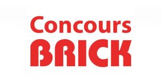 Concours Sondage auprès de la clientèle sur leur expérience Brick