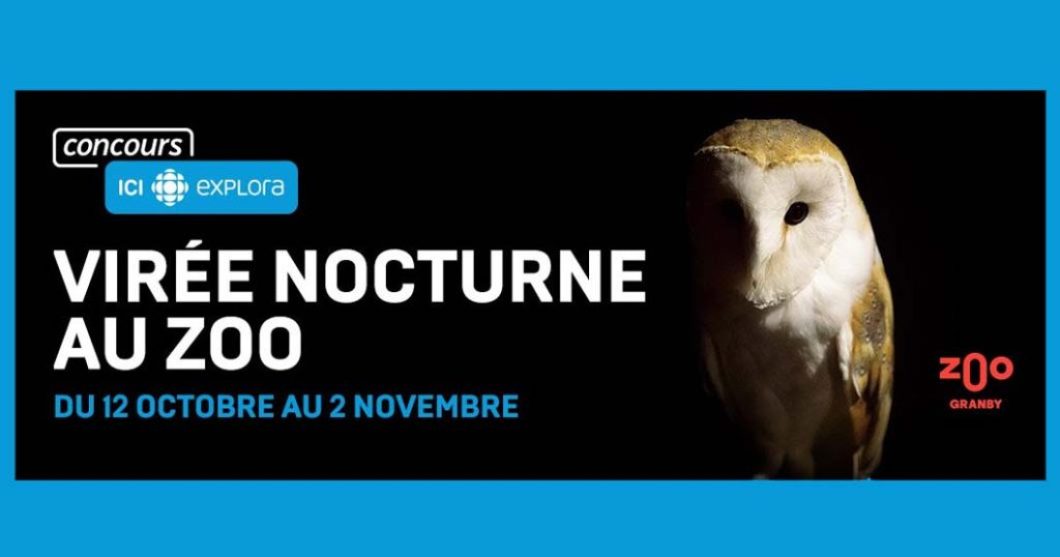 Concours Ici Explora Virée nocturne au zoo