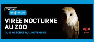 Concours Ici Explora Virée nocturne au zoo
