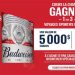 Concours Budweiser St-Hubert Voyage de sport