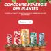 Concours Guru L'énergie des plantes