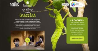 Concours Les Poilus En visite chez les insectes de Radio-Canada