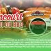 Concours SB Privilèges Le roi du BBQ avec Roma