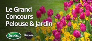 Concours Scotts Pelouse et jardin spectaculaires