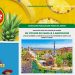 Concours Fresh Del Monte - Histoire de jouets 5